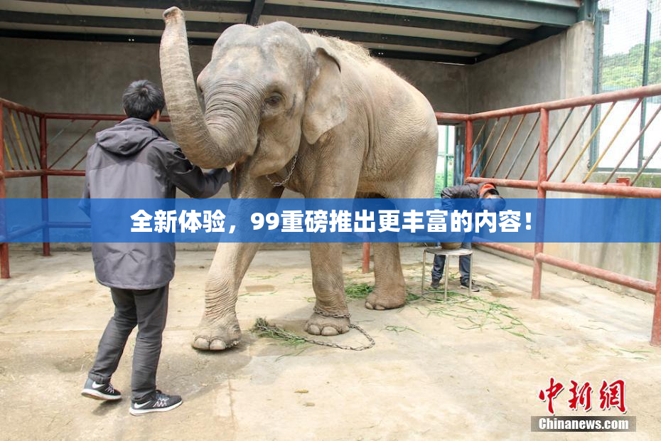 全新体验，99重磅推出更丰富的内容！