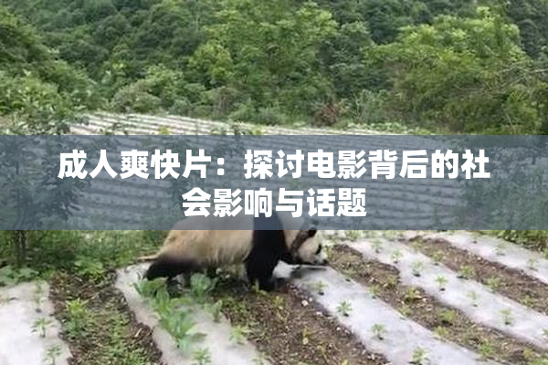 成人爽快片：探讨电影背后的社会影响与话题