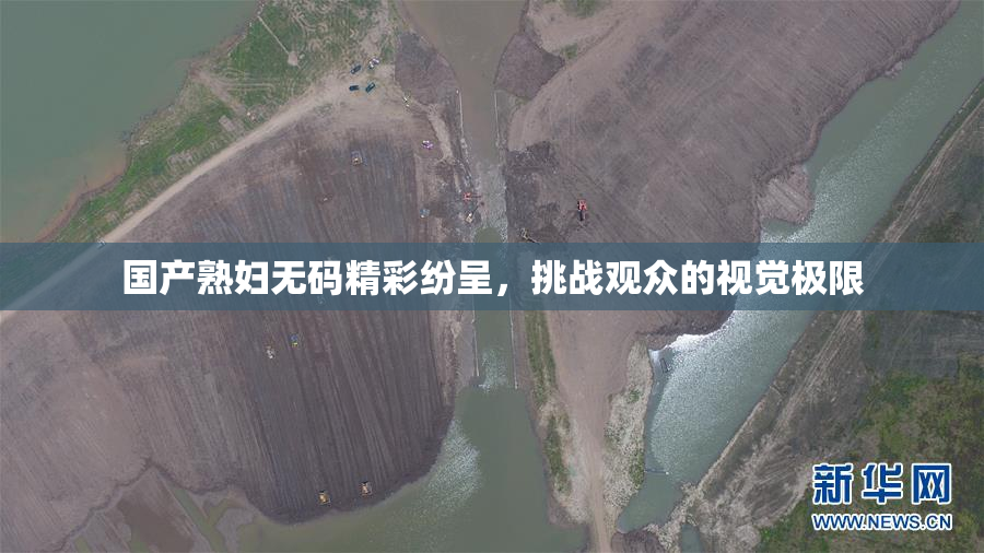 国产熟妇无码精彩纷呈，挑战观众的视觉极限
