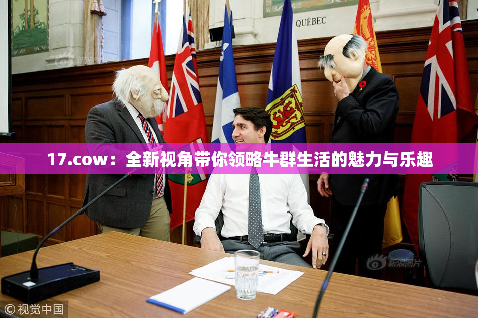 17.cow：全新视角带你领略牛群生活的魅力与乐趣
