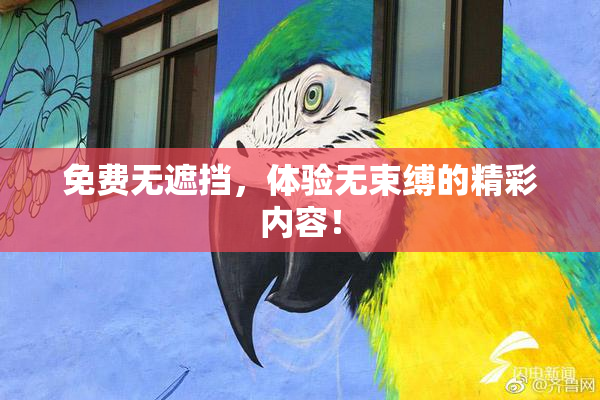 免费无遮挡，体验无束缚的精彩内容！