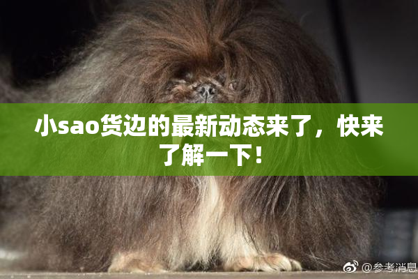 小sao货边的最新动态来了，快来了解一下！