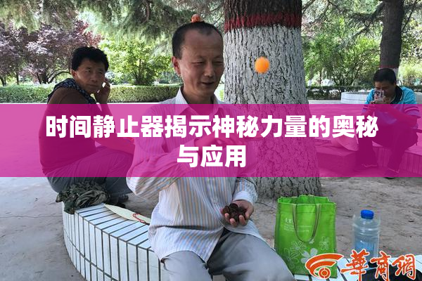 时间静止器揭示神秘力量的奥秘与应用