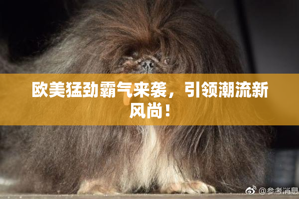 欧美猛劲霸气来袭，引领潮流新风尚！