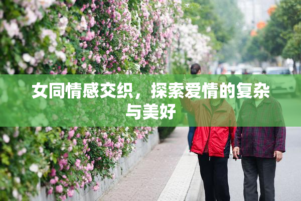 女同情感交织，探索爱情的复杂与美好