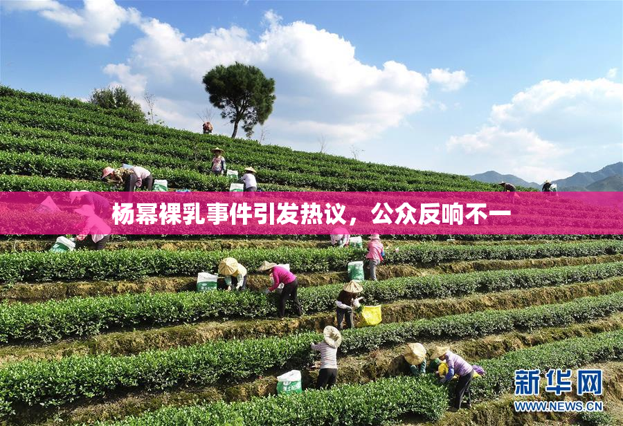 杨幂裸乳事件引发热议，公众反响不一