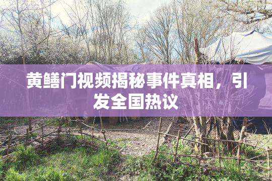 黄鳝门视频揭秘事件真相，引发全国热议