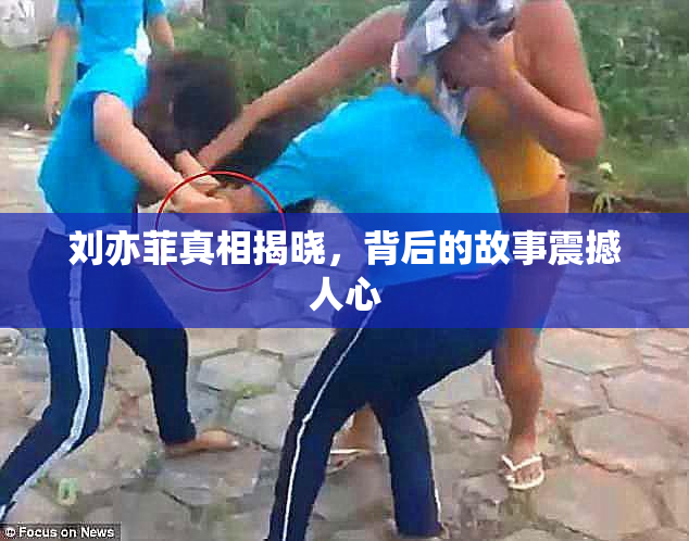 刘亦菲真相揭晓，背后的故事震撼人心