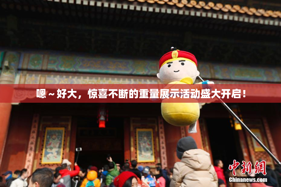 嗯～好大，惊喜不断的重量展示活动盛大开启！