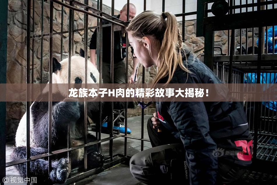 龙族本子H肉的精彩故事大揭秘！