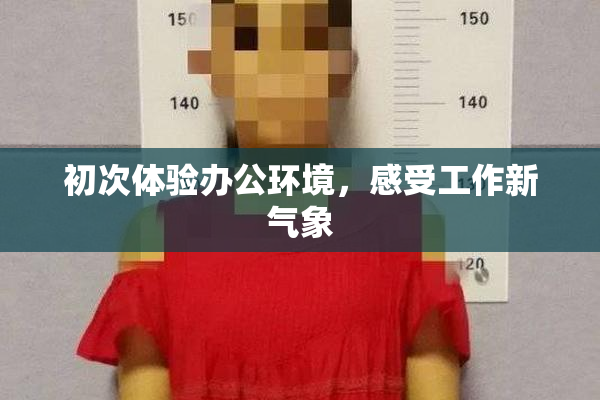 初次体验办公环境，感受工作新气象