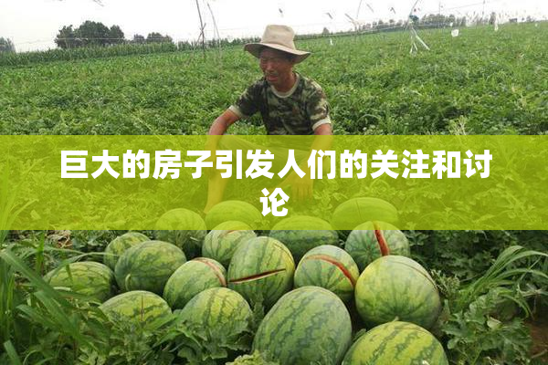 巨大的房子引发人们的关注和讨论