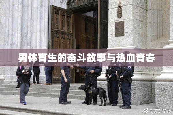 男体育生的奋斗故事与热血青春