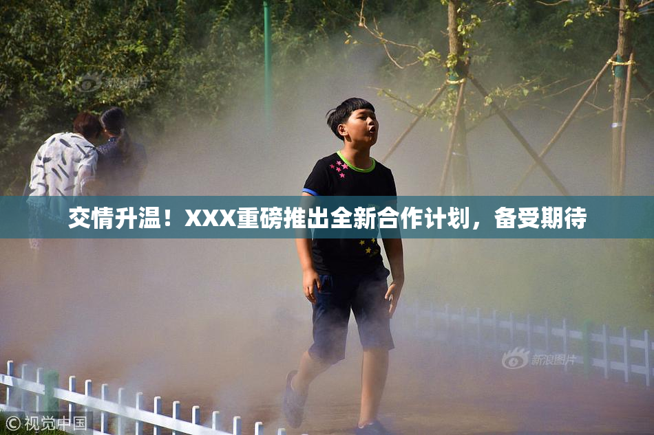 交情升温！XXX重磅推出全新合作计划，备受期待