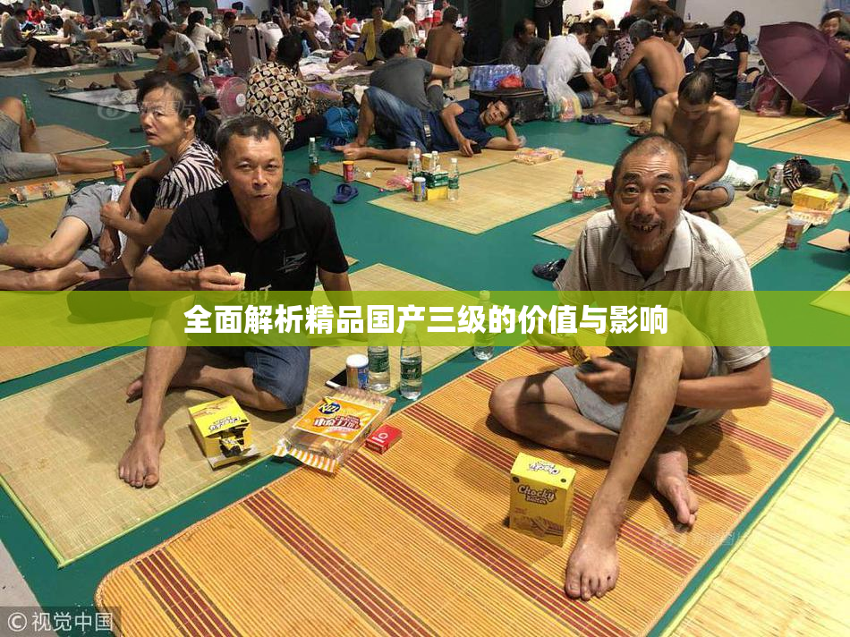全面解析精品国产三级的价值与影响