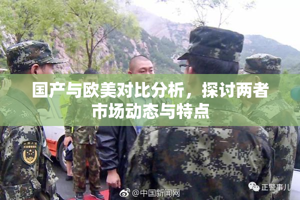 国产与欧美对比分析，探讨两者市场动态与特点