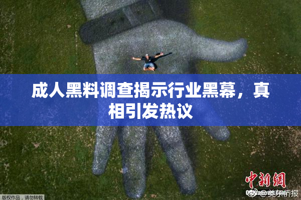 成人黑料调查揭示行业黑幕，真相引发热议