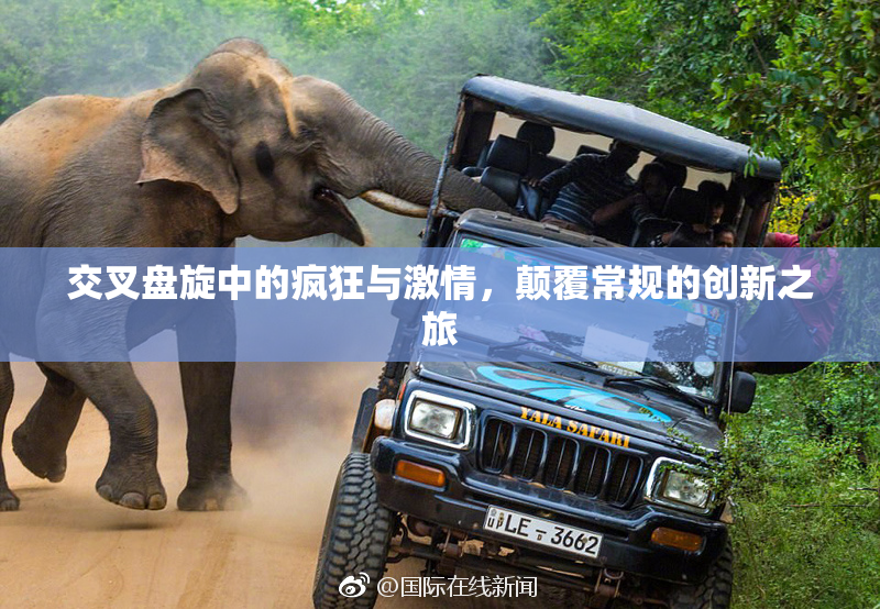 交叉盘旋中的疯狂与激情，颠覆常规的创新之旅