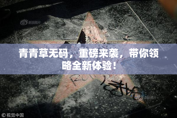 青青草无码，重磅来袭，带你领略全新体验！