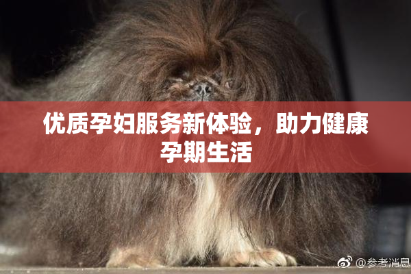 优质孕妇服务新体验，助力健康孕期生活