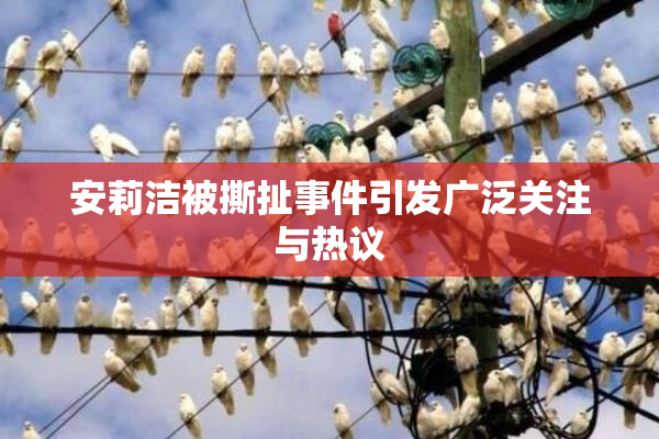 安莉洁被撕扯事件引发广泛关注与热议