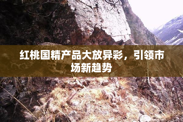 红桃国精产品大放异彩，引领市场新趋势