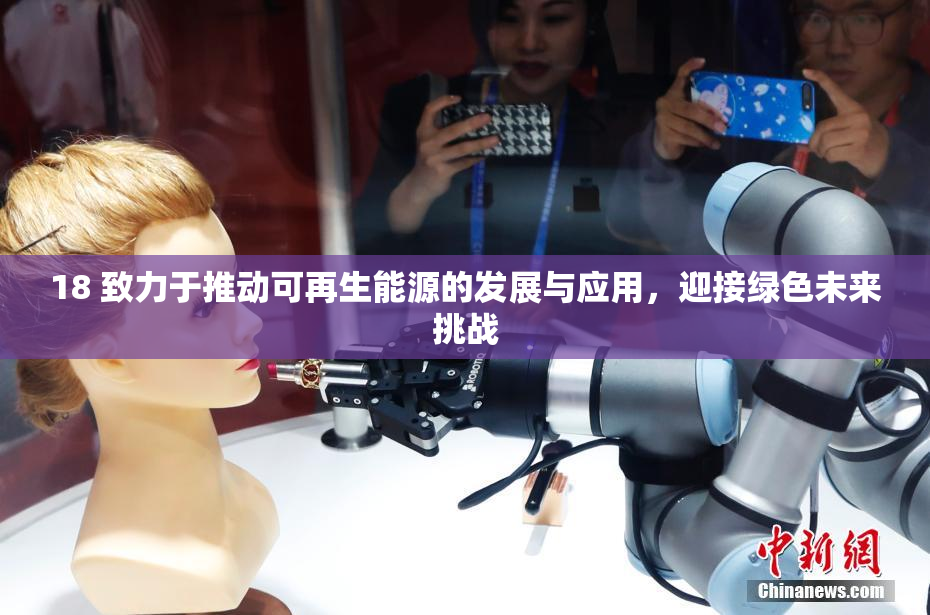 18 致力于推动可再生能源的发展与应用，迎接绿色未来挑战