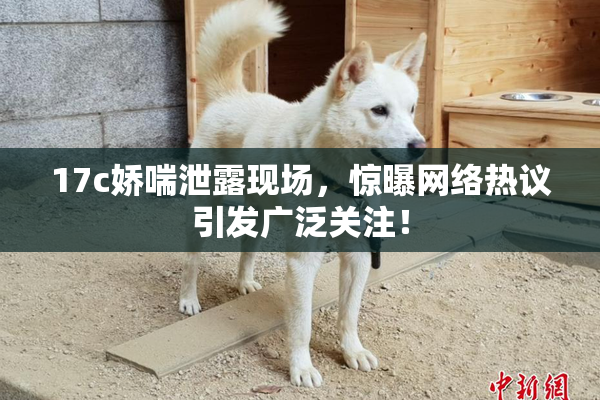 17c娇喘泄露现场，惊曝网络热议引发广泛关注！