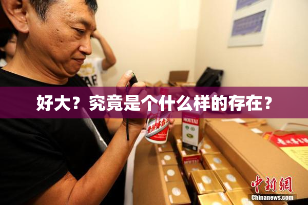 好大？究竟是个什么样的存在？