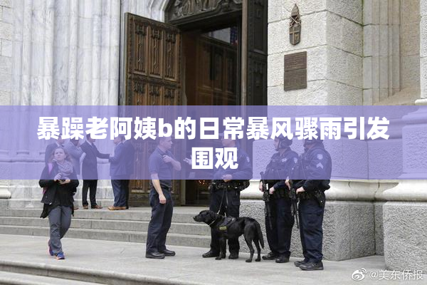 暴躁老阿姨b的日常暴风骤雨引发围观