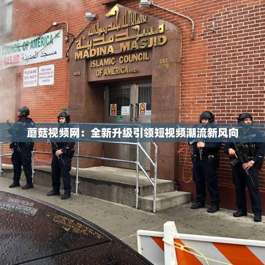 蘑菇视频网：全新升级引领短视频潮流新风向