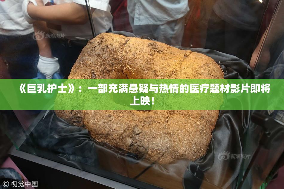 《巨乳护士》：一部充满悬疑与热情的医疗题材影片即将上映！