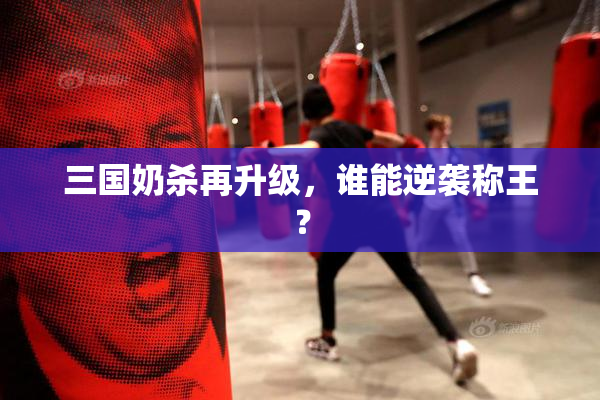 三国奶杀再升级，谁能逆袭称王？