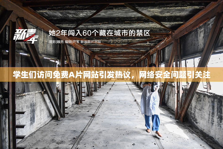 学生们访问免费A片网站引发热议，网络安全问题引关注