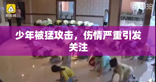 少年被猛攻击，伤情严重引发关注