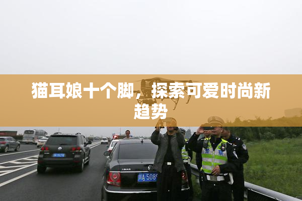 猫耳娘十个脚，探索可爱时尚新趋势