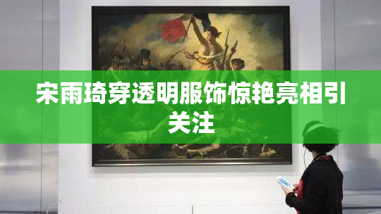 宋雨琦穿透明服饰惊艳亮相引关注