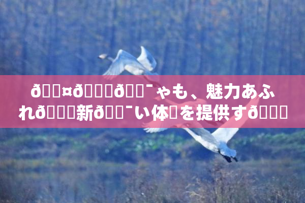 🖤🌃🔯ゃも、魅力あふれ🌃新🔯い体験を提供す🌃イベント開催！