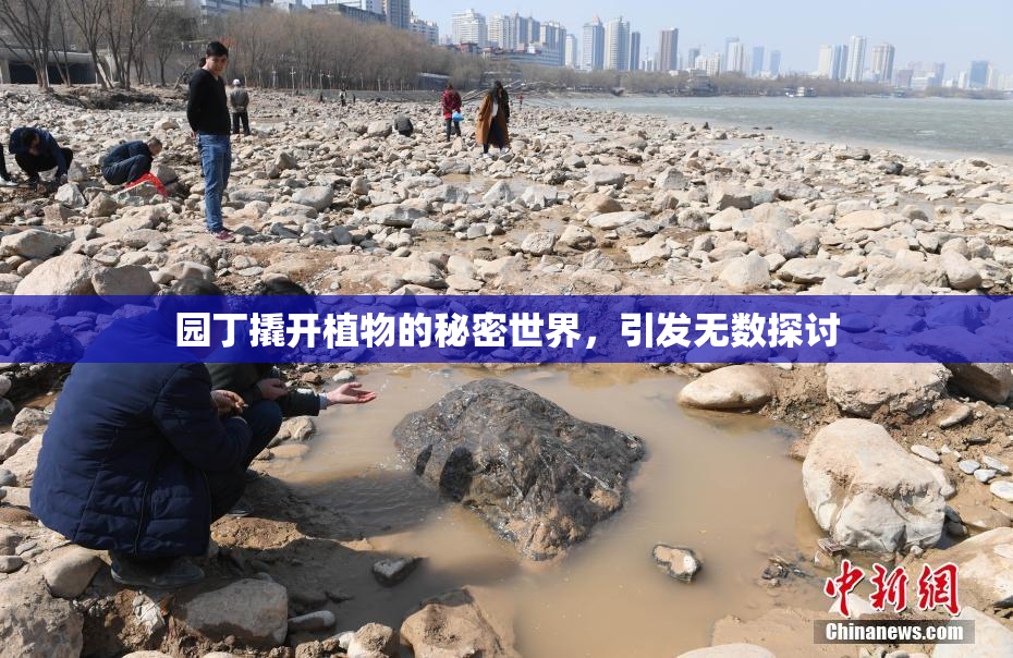 园丁撬开植物的秘密世界，引发无数探讨