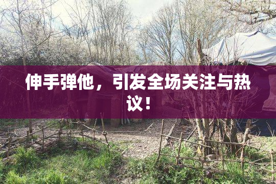 伸手弹他，引发全场关注与热议！