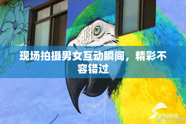 现场拍摄男女互动瞬间，精彩不容错过