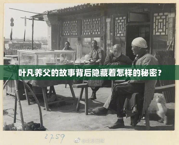 叶凡养父的故事背后隐藏着怎样的秘密？