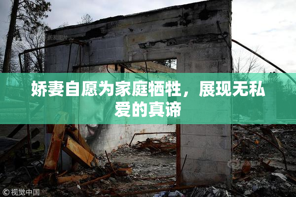 娇妻自愿为家庭牺牲，展现无私爱的真谛