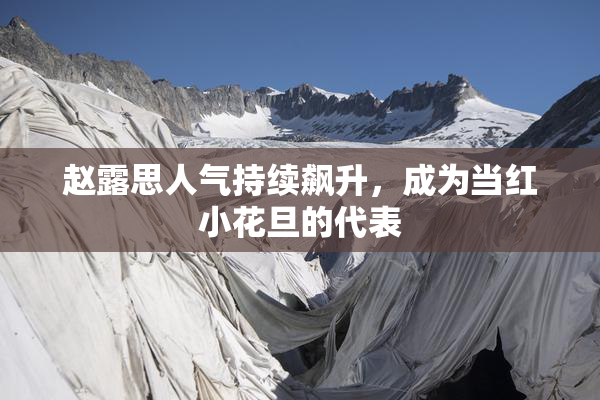 赵露思人气持续飙升，成为当红小花旦的代表
