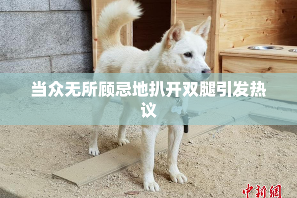 当众无所顾忌地扒开双腿引发热议
