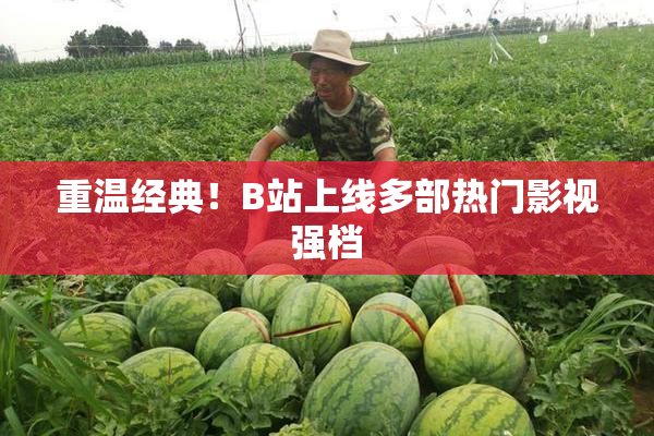 重温经典！B站上线多部热门影视强档