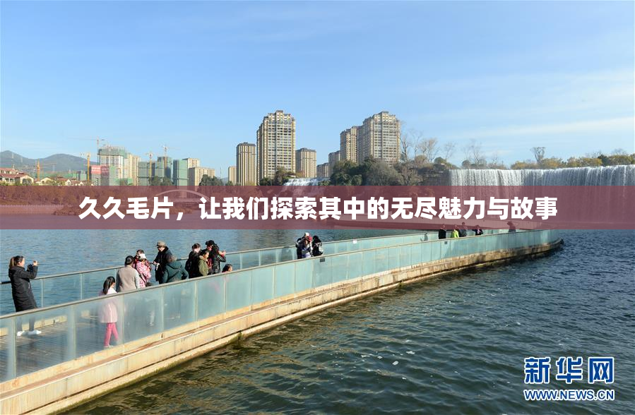 久久毛片，让我们探索其中的无尽魅力与故事