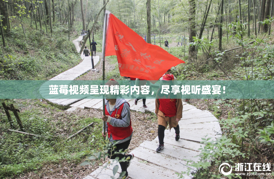 蓝莓视频呈现精彩内容，尽享视听盛宴！