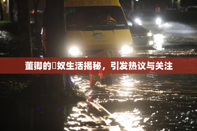 董卿的婬奴生活揭秘，引发热议与关注