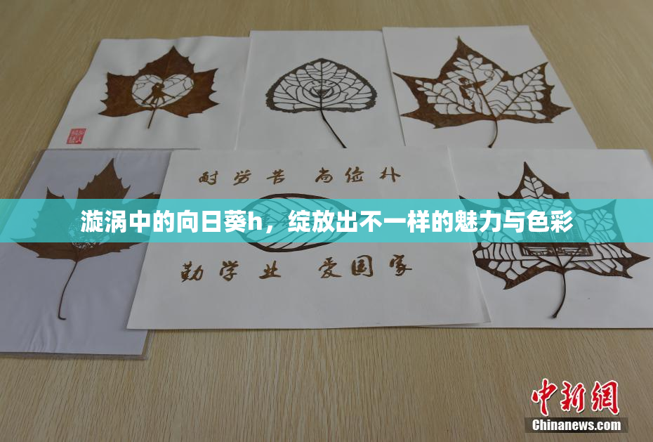 漩涡中的向日葵h，绽放出不一样的魅力与色彩